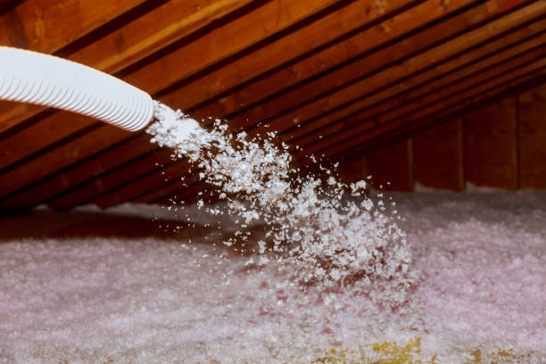 Best Specialized Insulation Services in Seyur, MO