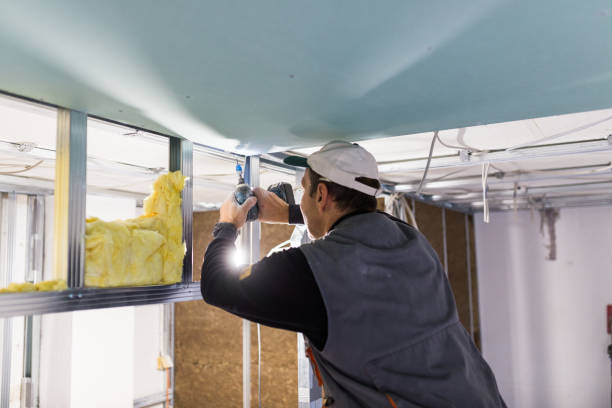 Best Fiberglass Insulation in Seyur, MO
