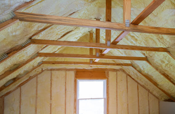 Best Spray Foam Insulation in Seyur, MO
