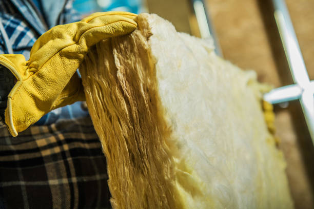 Best Spray Foam Insulation in Seyur, MO