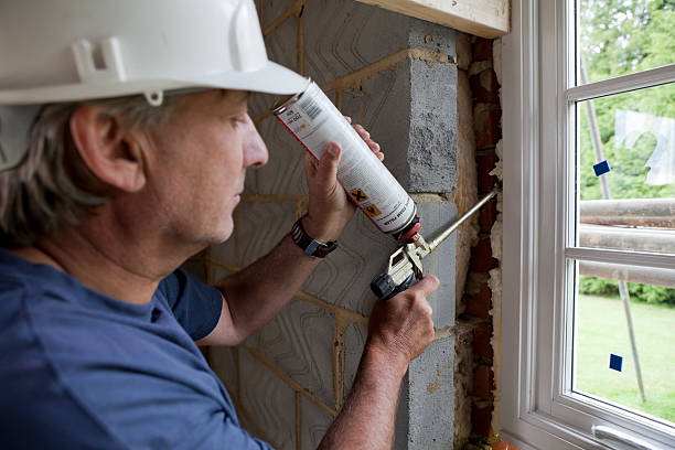 Best Insulation Maintenance and Repair in Seyur, MO