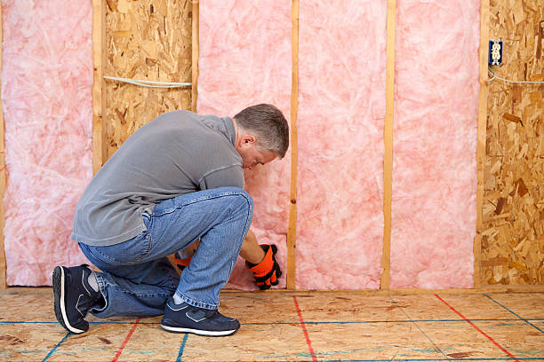 Best Residential Insulation in Seyur, MO