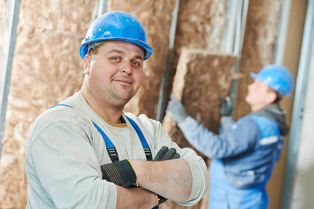 Best Specialized Insulation Services in Seyur, MO